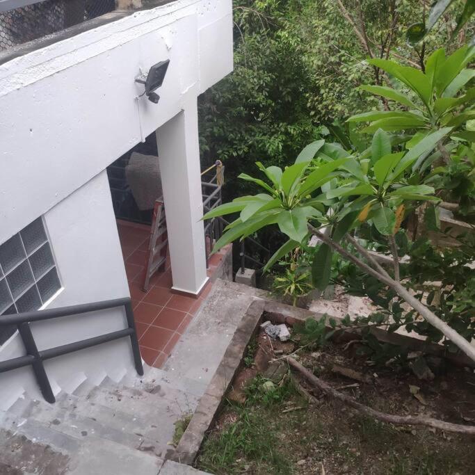 Kk Jungle Hideaway Lovely Apartment 5 Mins Walk To Town كوتا كينابالو المظهر الخارجي الصورة